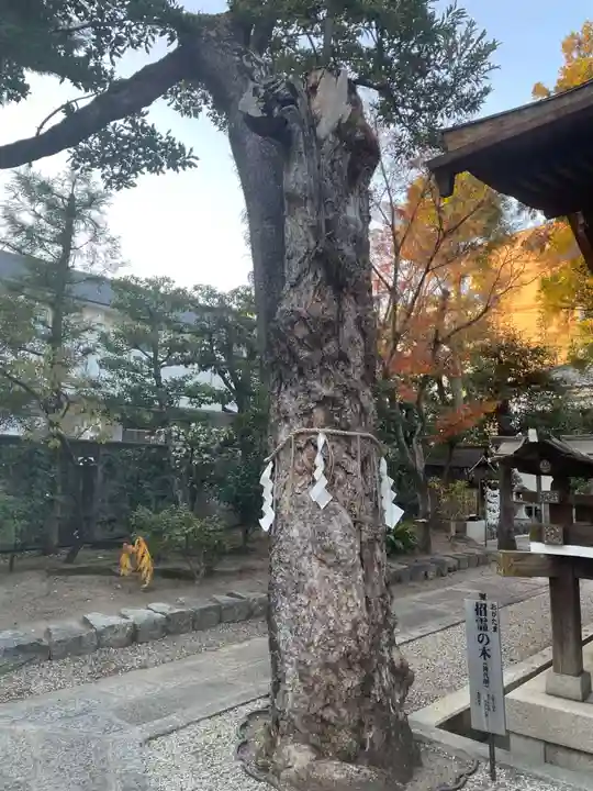 大将軍八神社(京都府)
