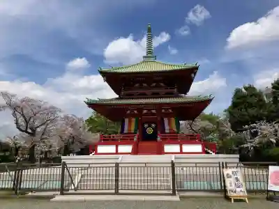 孝道山の{uncategorized: "未分類", other: "その他", undefined: "問題あり", building: "その他建物", grave: "お墓", sacred_gate: "鳥居", guardian: "狛犬", statue: "像", buddha: "仏像", history: "歴史", nature: "自然", garden: "庭園", animal: "動物", pagoda: "塔", temizu: "手水舎", mountain_gate: "山門・神門", sanctuary: "本殿・本堂", subordinate: "末社・摂社", art: "芸術", scenery: "景色", jizo: "地蔵", ema: "絵馬", goshuin: "御朱印", omikuji: "おみくじ", items: "授与品その他", amulet: "お守り", goshuincho: "御朱印帳", eats: "食事", festival: "お祭り", votive_dance: "神楽", shichigosan: "七五三参", wedding: "結婚式", experience: "体験その他", initially: "初詣", around: "周辺", anti_infection: "感染症対策"}