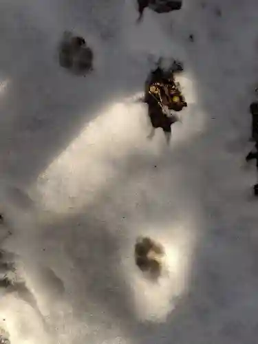 椿大神社(三重県)