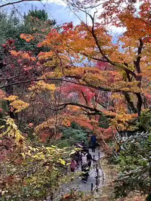 天龍寺(京都府)