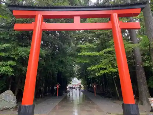 霧島神宮の鳥居