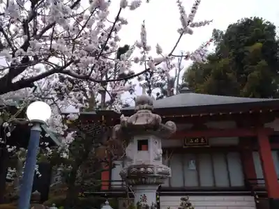 浄土宗 光明山 大蓮寺（照曜会館）(神奈川県)