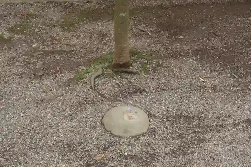 鹿島神宮(茨城県)