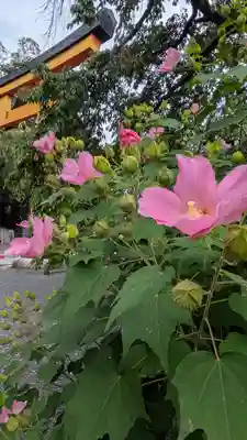 平野神社(京都府)