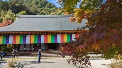 二尊院(京都府)