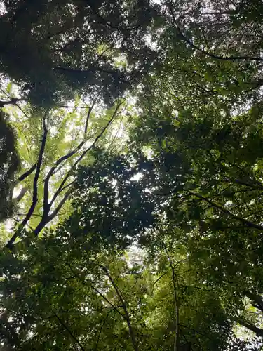 駒木諏訪神社(千葉県)