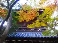 功山寺(山口県)