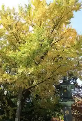 播州清水寺(兵庫県)