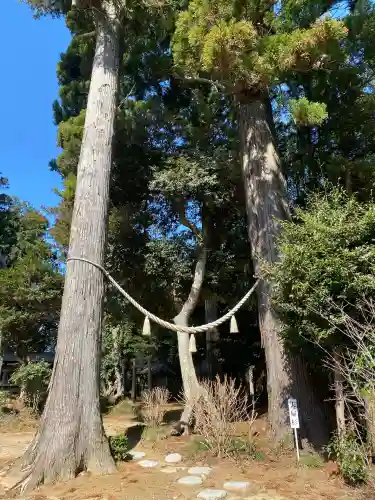 山倉大神の{uncategorized: "未分類", other: "その他", undefined: "問題あり", building: "その他建物", grave: "お墓", sacred_gate: "鳥居", guardian: "狛犬", statue: "像", buddha: "仏像", history: "歴史", nature: "自然", garden: "庭園", animal: "動物", pagoda: "塔", temizu: "手水舎", mountain_gate: "山門・神門", sanctuary: "本殿・本堂", subordinate: "末社・摂社", art: "芸術", scenery: "景色", jizo: "地蔵", ema: "絵馬", goshuin: "御朱印", omikuji: "おみくじ", items: "授与品その他", amulet: "お守り", goshuincho: "御朱印帳", eats: "食事", festival: "お祭り", votive_dance: "神楽", shichigosan: "七五三参", wedding: "結婚式", experience: "体験その他", initially: "初詣", around: "周辺", anti_infection: "感染症対策"}