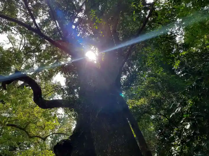 伊勢神宮内宮(皇大神宮)の自然
