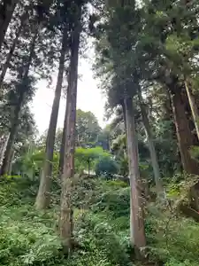 大宮温泉神社(栃木県)(2023年08月08日(火) 08時11分32秒投稿)