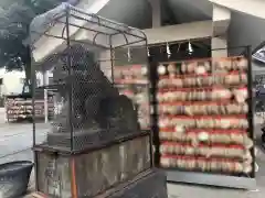 今戸神社の狛犬