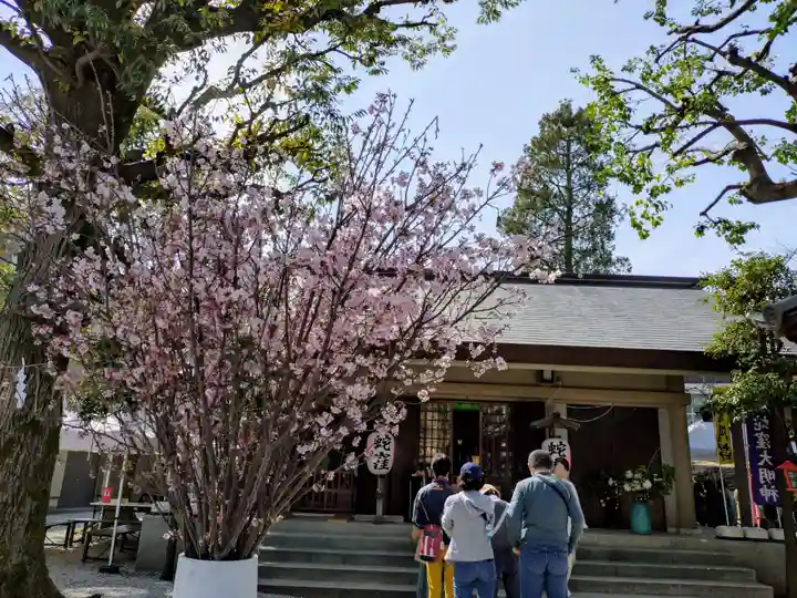 蛇窪神社(東京都)