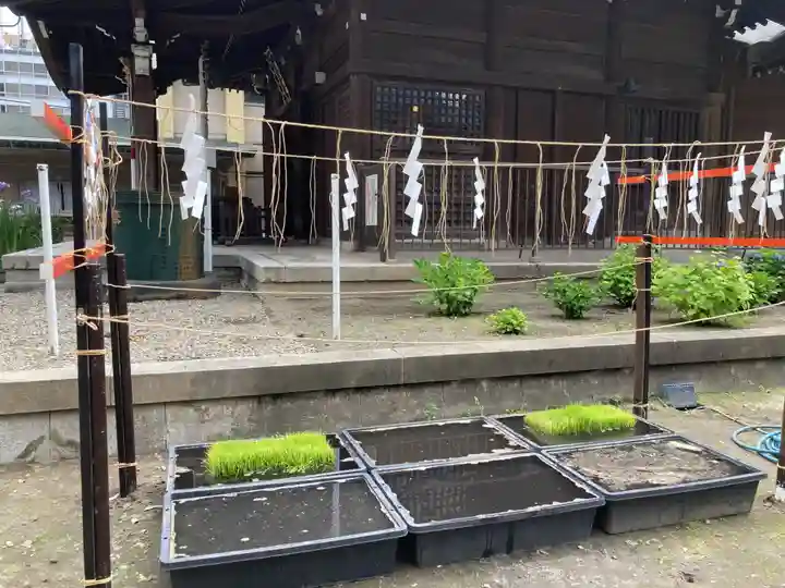 磐井神社(東京都)