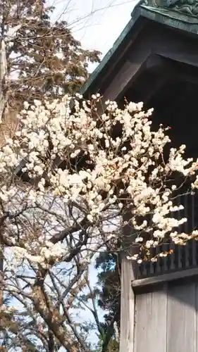 成田山新勝寺の自然