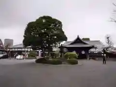 寛永寺(根本中堂)(東京都)