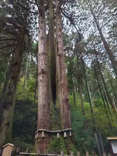 御岩神社(茨城県)