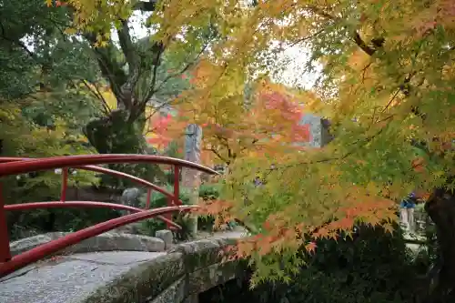 武蔵寺(福岡県)