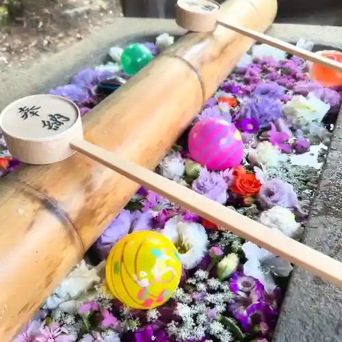 群馬県護国神社(群馬県)