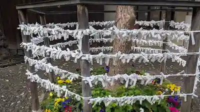 藤次寺のおみくじ