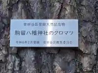 駒留八幡神社(東京都)