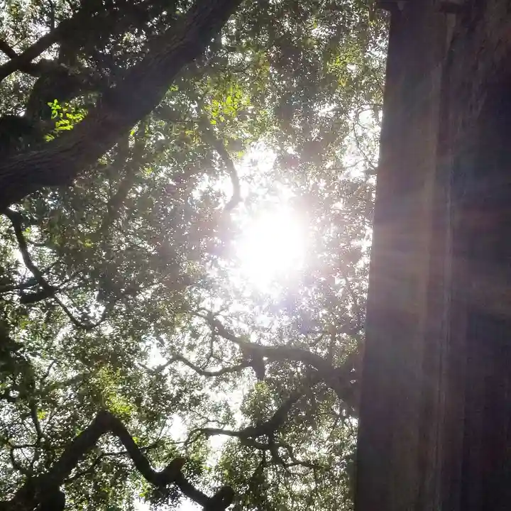沼尾神社のその他建物