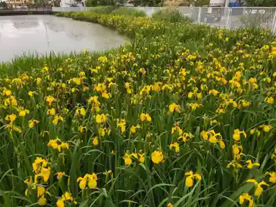 厳島神社の自然