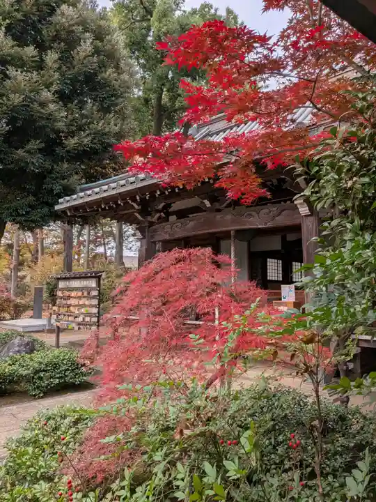 妙法寺(東京都)