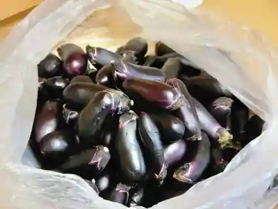 伏木香取神社のその他建物