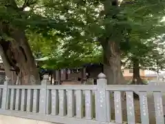 真田神社の自然