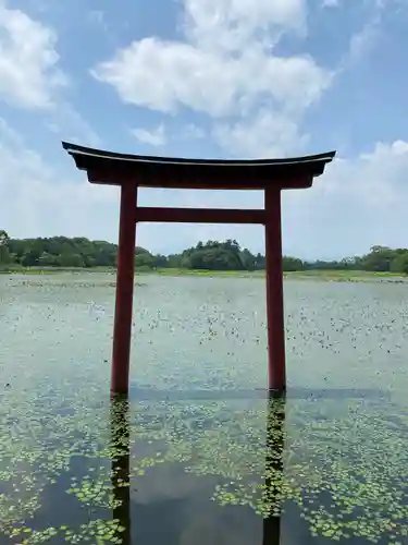 薦神社の鳥居