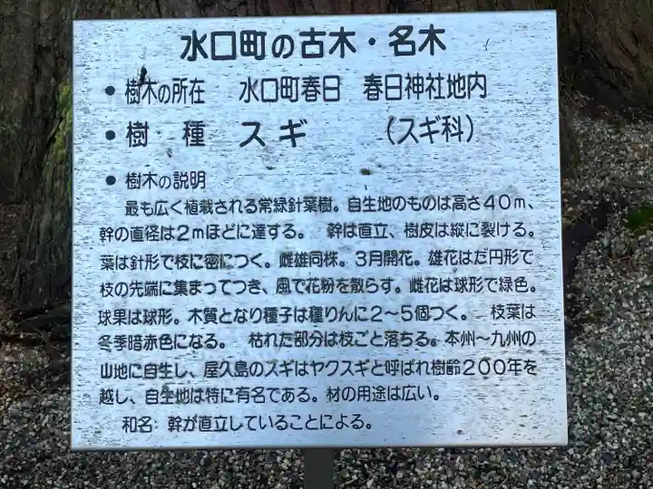 春日神社(滋賀県)