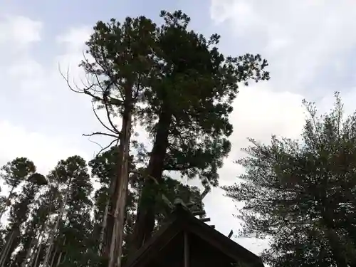 鹿嶋三嶋神社の自然