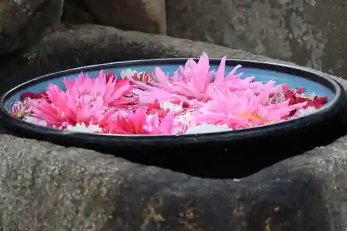 大鏑神社の手水舎
