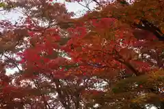 土津神社｜こどもと出世の神さまの自然