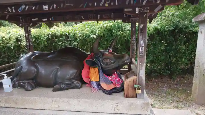 北野天満宮の狛犬