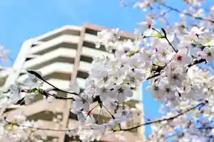 くまくま神社(導きの社 熊野町熊野神社)の自然(2021年03月27日(土) 08時02分58秒投稿)