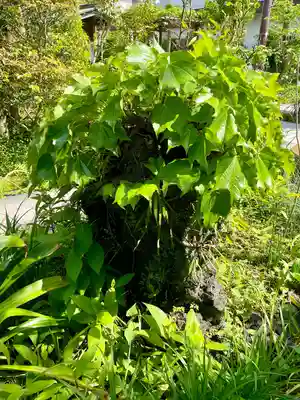 大巧寺(神奈川県)