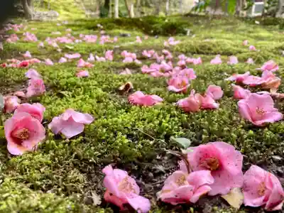 霊鑑寺門跡(京都府)