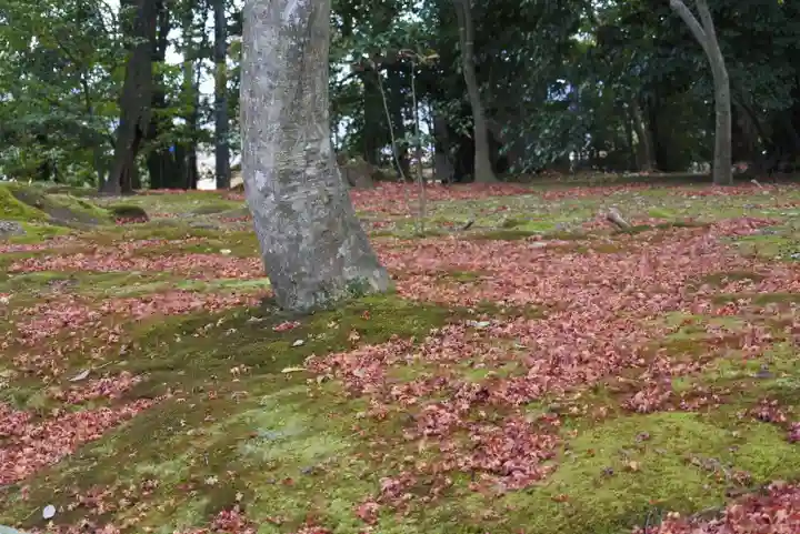 鹿苑寺(金閣寺)(京都府)