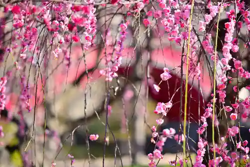 亀戸天神社(東京都)