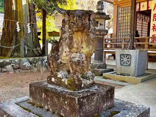 大村神社の狛犬