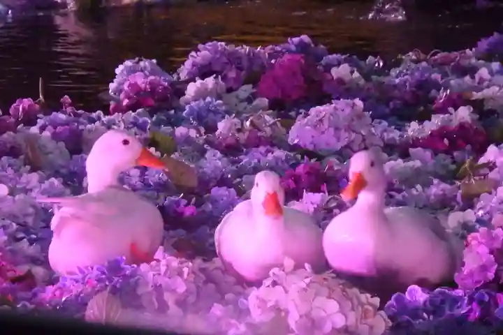 楽法寺(雨引観音)の動物