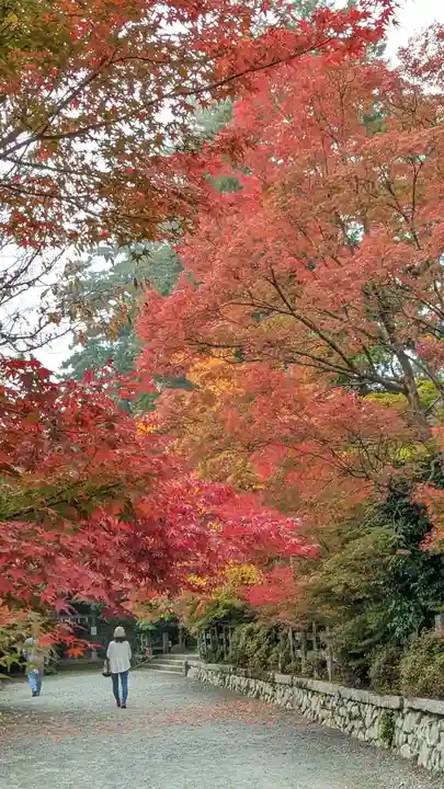 鍬山神社(京都府)