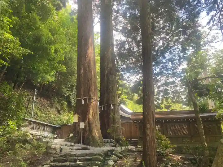 丹生川上神社(中社)の{uncategorized: "未分類", other: "その他", undefined: "問題あり", building: "その他建物", grave: "お墓", sacred_gate: "鳥居", guardian: "狛犬", statue: "像", buddha: "仏像", history: "歴史", nature: "自然", garden: "庭園", animal: "動物", pagoda: "塔", temizu: "手水舎", mountain_gate: "山門・神門", sanctuary: "本殿・本堂", subordinate: "末社・摂社", art: "芸術", scenery: "景色", jizo: "地蔵", ema: "絵馬", goshuin: "御朱印", omikuji: "おみくじ", items: "授与品その他", amulet: "お守り", goshuincho: "御朱印帳", eats: "食事", festival: "お祭り", votive_dance: "神楽", shichigosan: "七五三参", wedding: "結婚式", experience: "体験その他", initially: "初詣", around: "周辺", anti_infection: "感染症対策"}