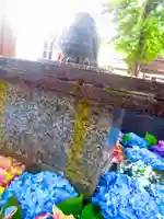 新琴似神社(北海道)