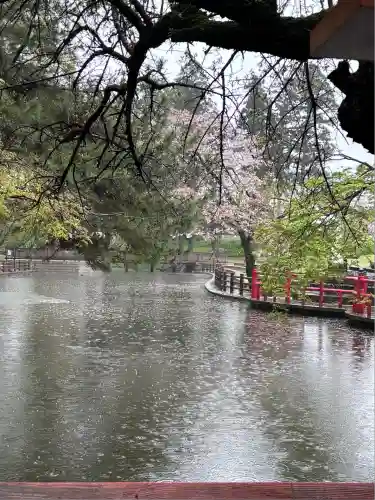 間々田八幡宮(栃木県)
