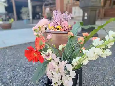 釋迦院(釈迦院)(大阪府)