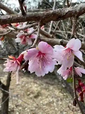 霊犬神社の自然