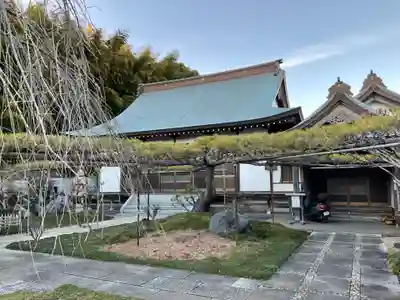 竺園寺の自然